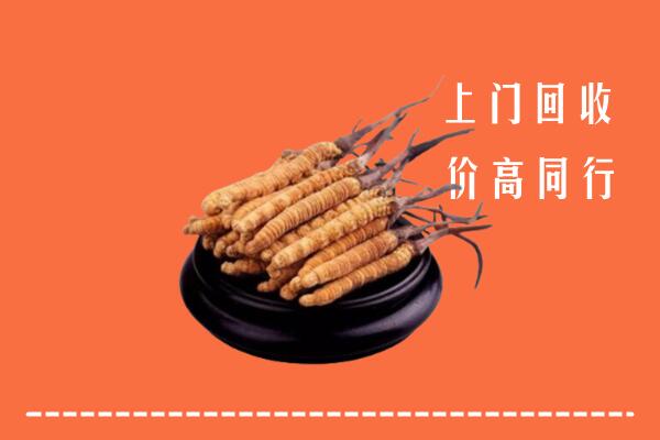 高价求购：阿坝壤塘回收散虫草