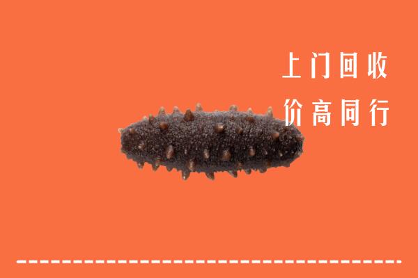阿坝壤塘回收海参
