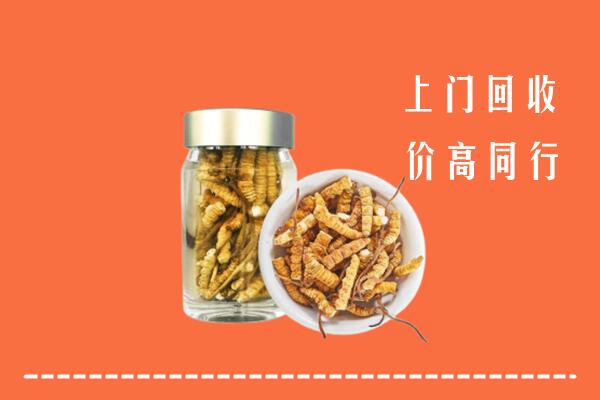 阿坝壤塘回收冬虫夏草