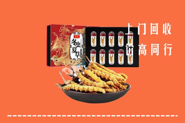 阿坝壤塘回收虫草